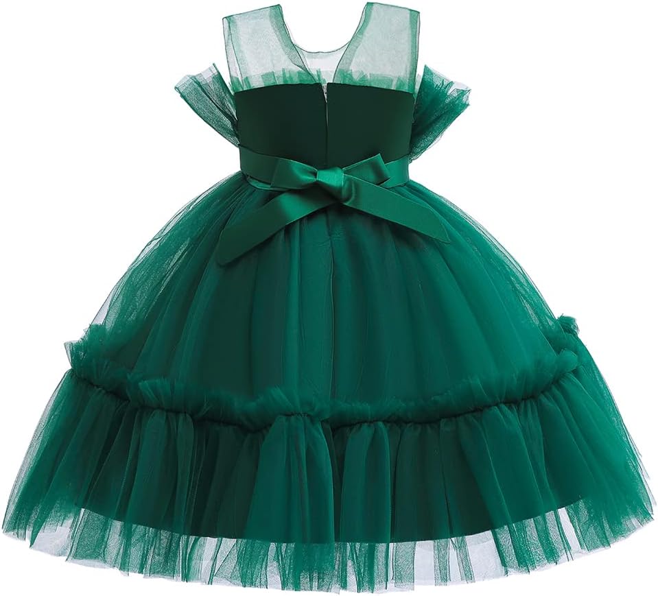 6M-9T Infant Baby Girls Ruffle Ball Gown Party Pageant Lace Dresses Dicry 6M-9T Infant Baby Girls Ruffle Ball Gown Party Pageant Lace Dresses Dicry