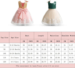 Dicry Girls' Tulle Flower Princess Wedding Dress for Toddler and Baby Girl baby dress