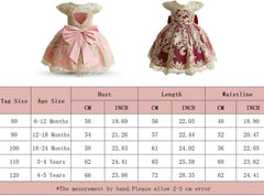 Dicry Girls' Tulle Flower Princess Wedding Dress for Toddler and Baby Girl baby dress