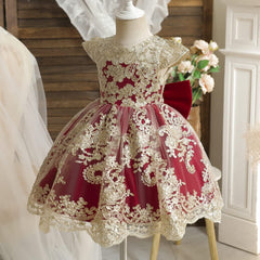 Dicry Girls' Tulle Flower Princess Wedding Dress for Toddler and Baby Girl baby dress